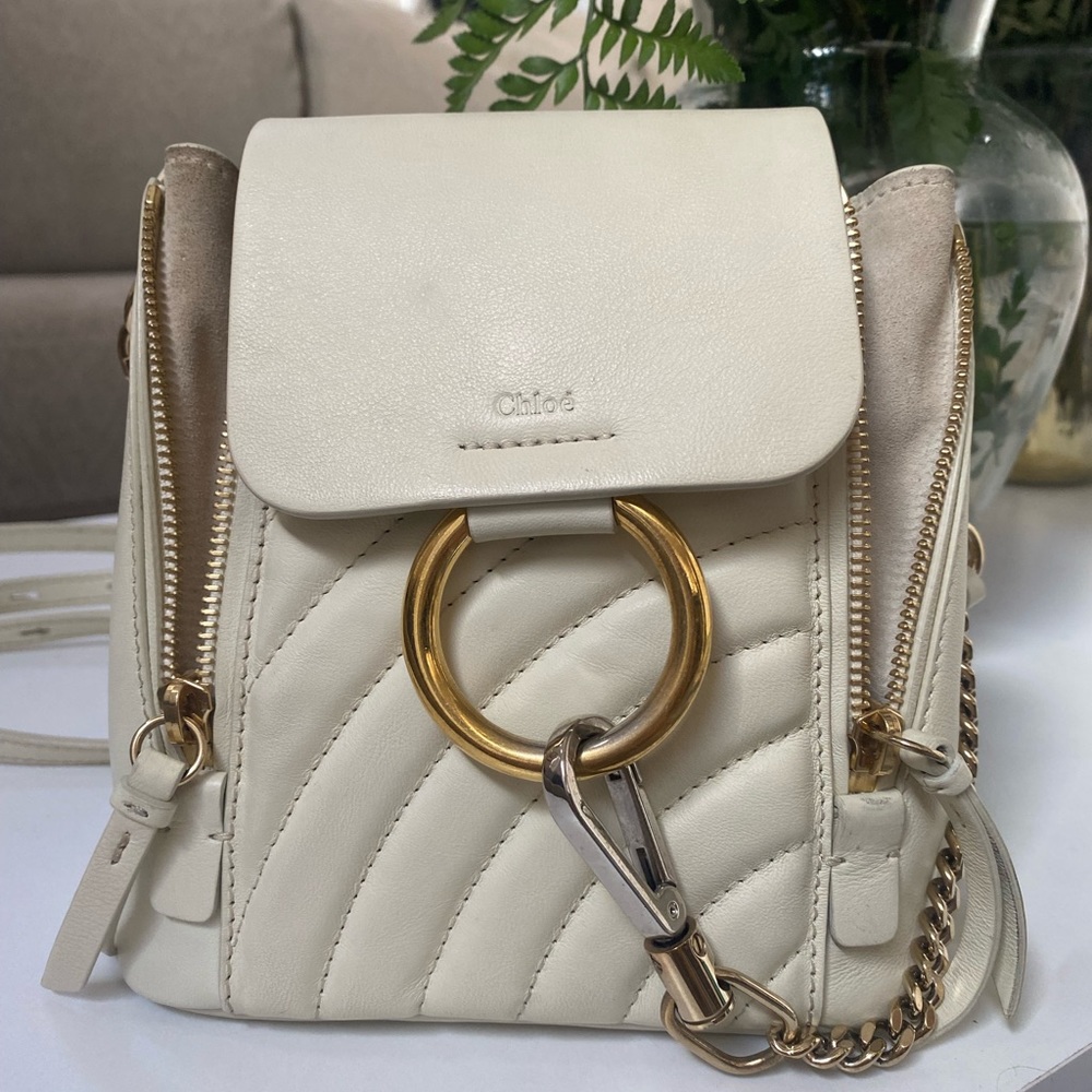Chloe Faye Mini Backpack!